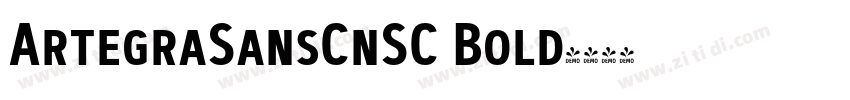 ArtegraSansCnSC Bold字体转换